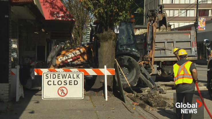 ‘It is no longer going to be Davie Street’: construction puts pressure on Little Sister's
