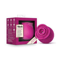 Blush 'The Original Rose' -Pink