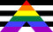 Straight Ally Pride Flag 3 x 5 ft