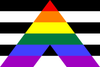 ''Straight Ally'' Pride Stick Flag 4 x 6 in