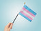 ''Transgender'' Pride -Stick Flag 4 x 6''