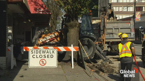 ‘It is no longer going to be Davie Street’: construction puts pressure on Little Sister's
