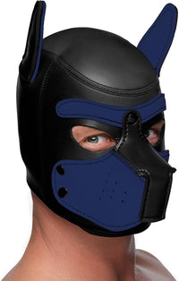 Master Series "Spike" Neoprene Puppy Hood -Blue