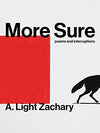 More Sure - Poems and Interruptions