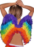Gay Pride ''Rainbow'' Feather Wings