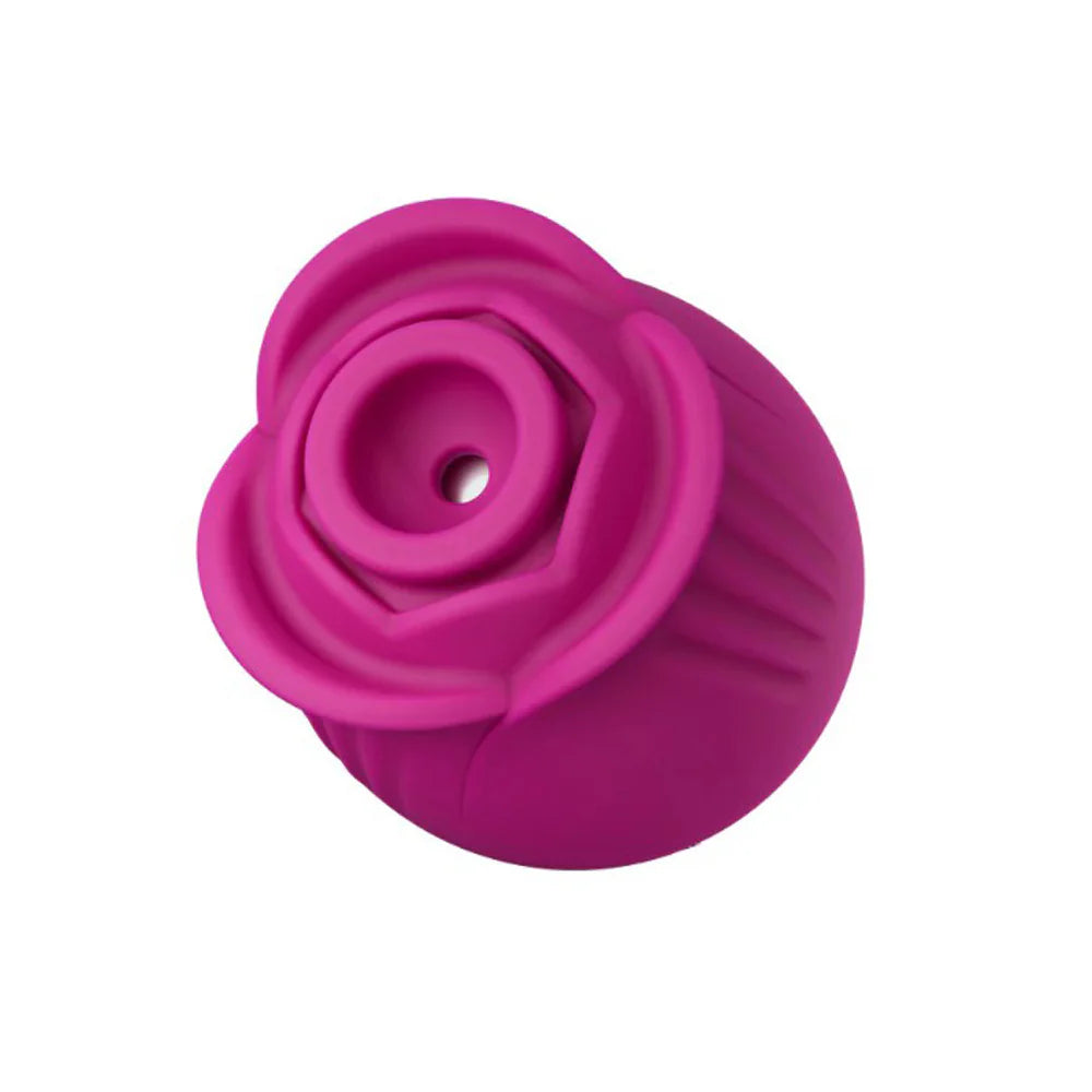 Blush 'The Original Rose' -Pink