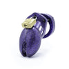 CB-6000S Cock Cage Chastity Kit -Purple Glitter