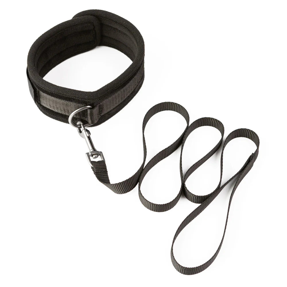 SEI MIO Take the Lead Padded Collar/Leash