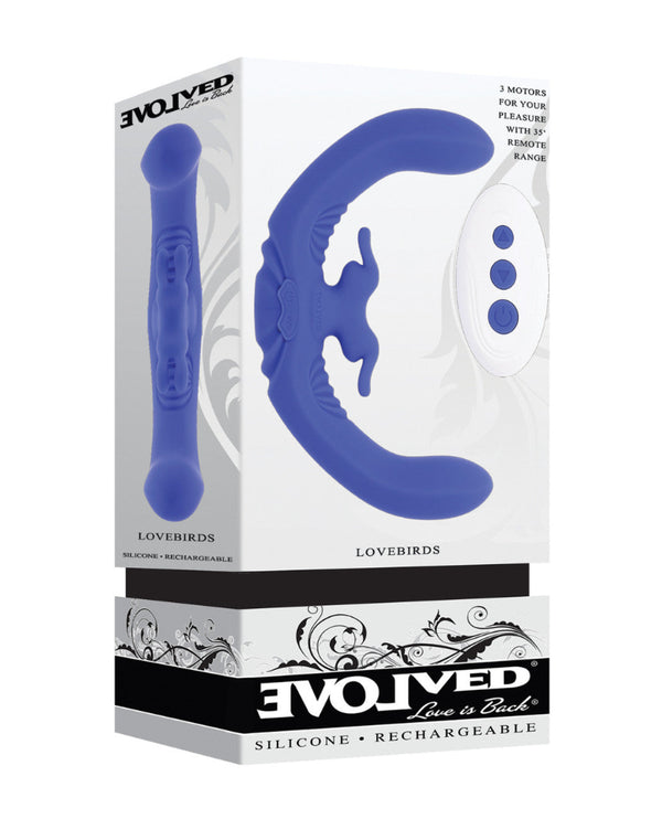 Evolved "Lovebirds" Rabbit Vibe -Blue