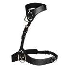 Harnesses