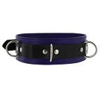 Collars & Leashes