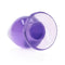 RealRock 4.5" Clear Anal Plug -Purple