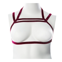 Gender Fluid ''Sugar Coated'' Harness L-XXL