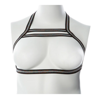 Gender Fluid ''Silver Lining'' Harness L-XXL