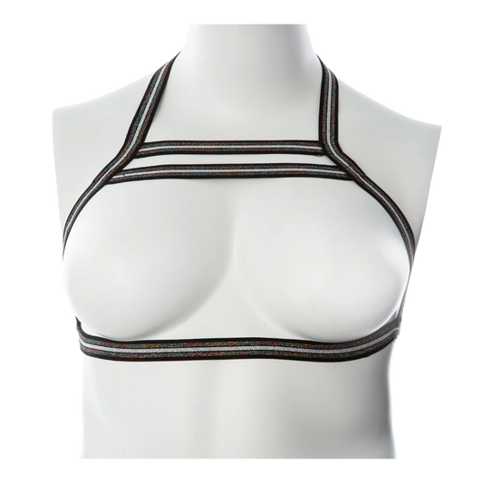 Gender Fluid ''Silver Lining'' Harness L-XXL