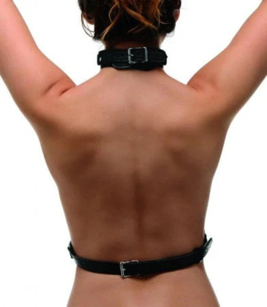 Strict "Female" Chest Harness