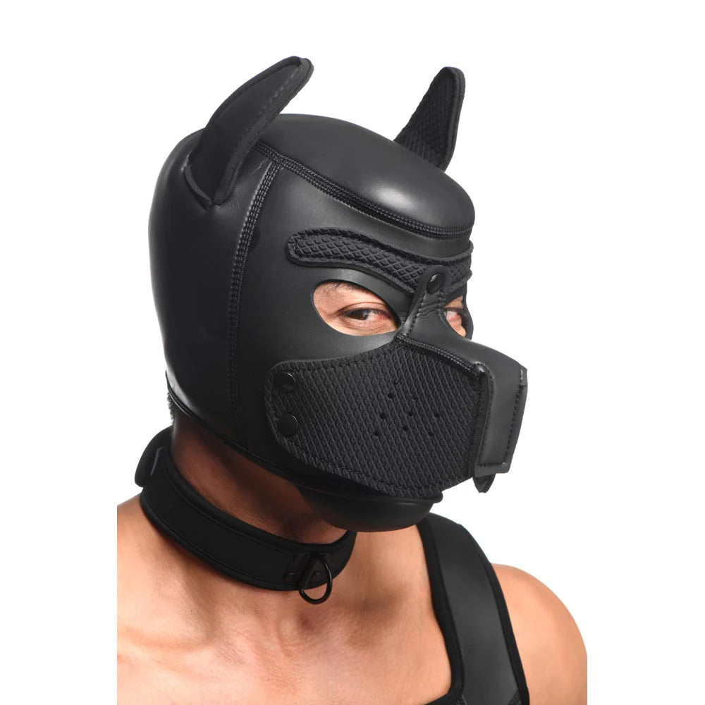 MS Full Pup Arsenal Set
