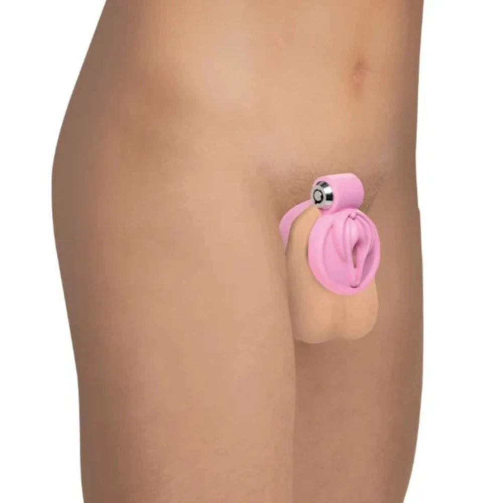 MS 'Pussification' Vulva Chastity Cage