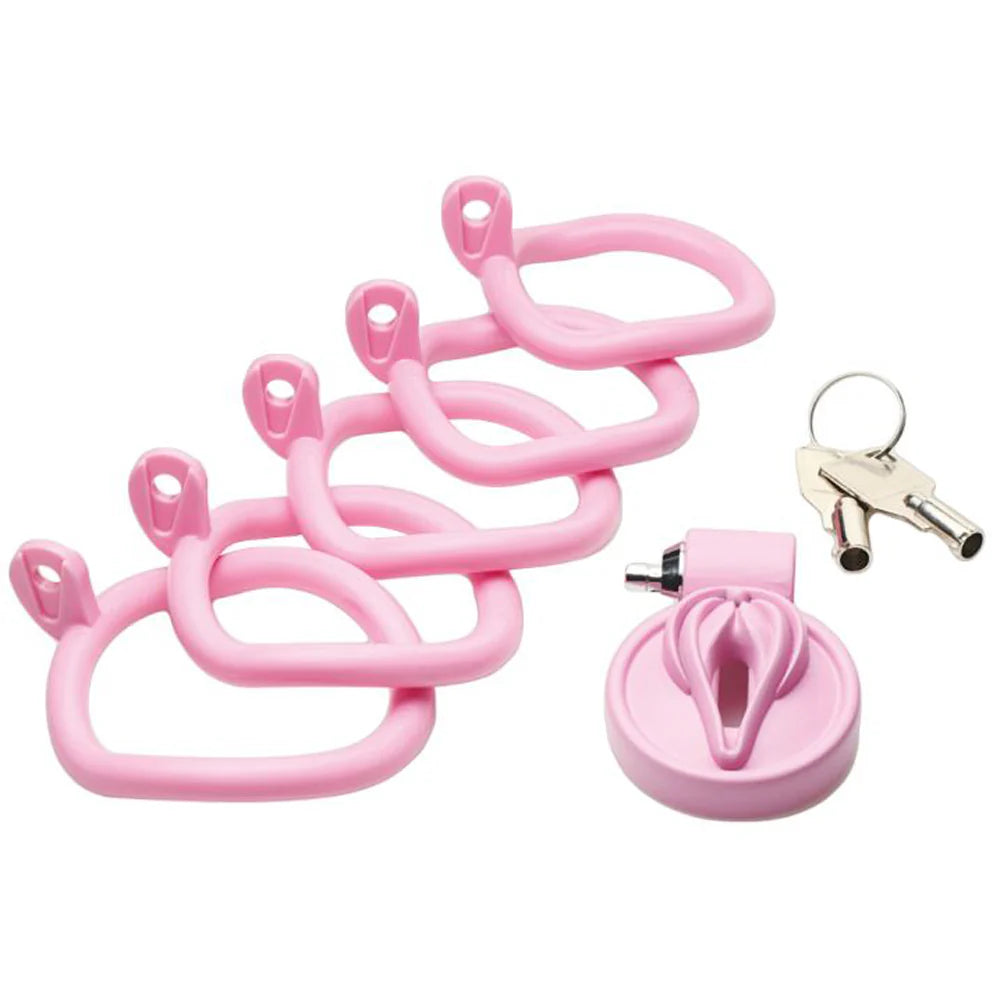 MS 'Pussification' Vulva Chastity Cage