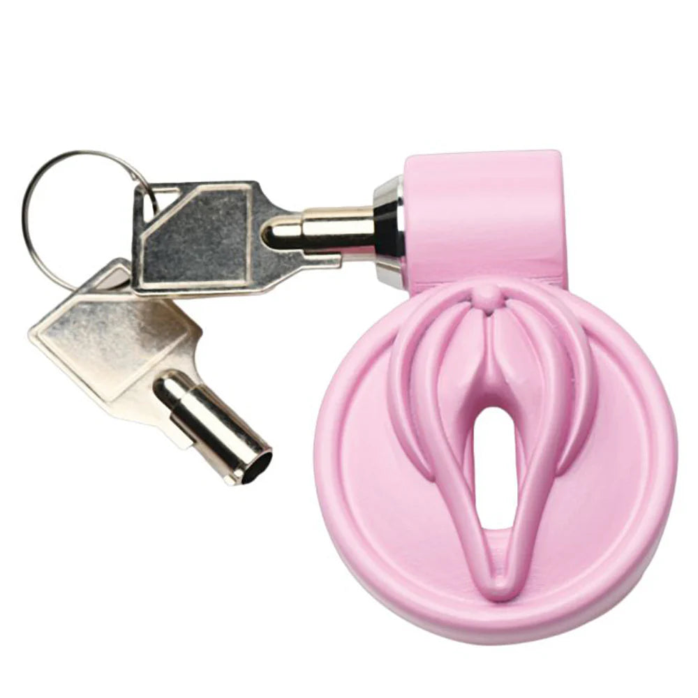 MS 'Pussification' Vulva Chastity Cage