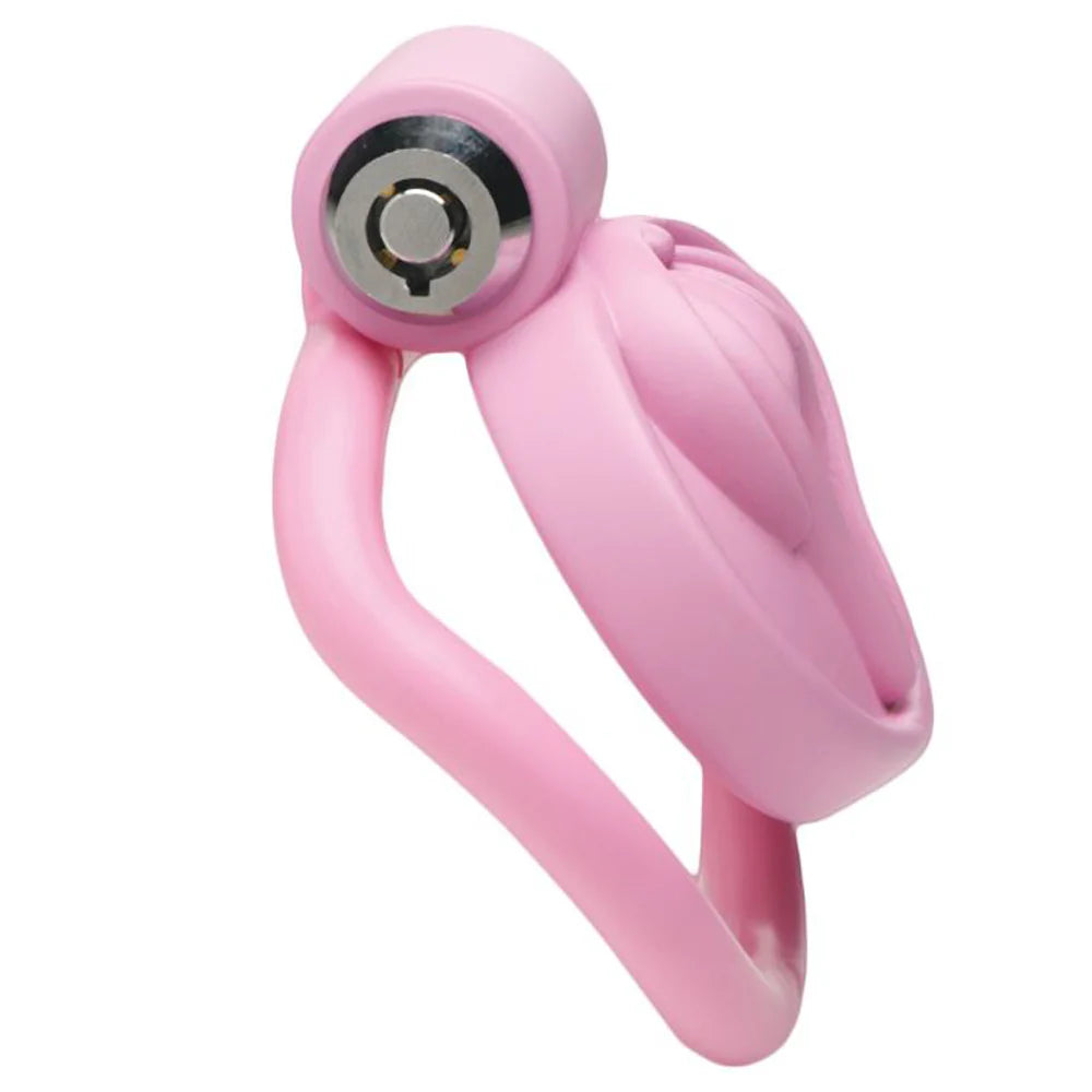 MS 'Pussification' Vulva Chastity Cage