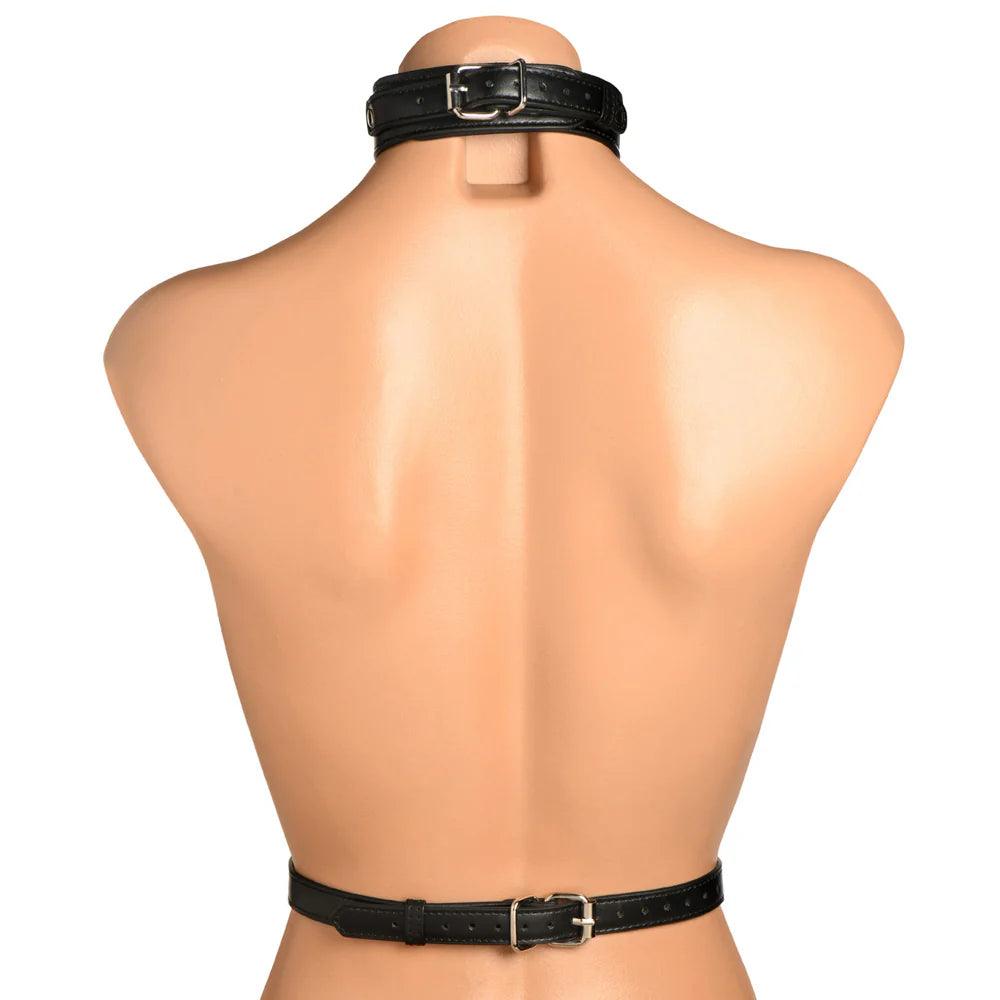 MS ''Vixen'' Female Chest Harness -Black
