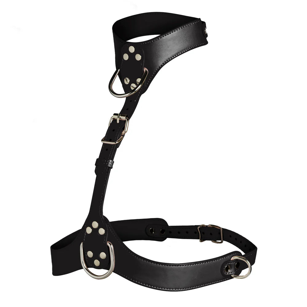 MS ''Vixen'' Female Chest Harness -Black