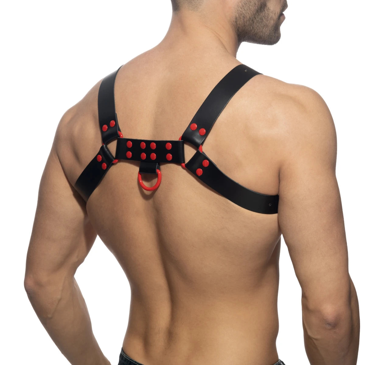 AD Fetish Leather Color Harness