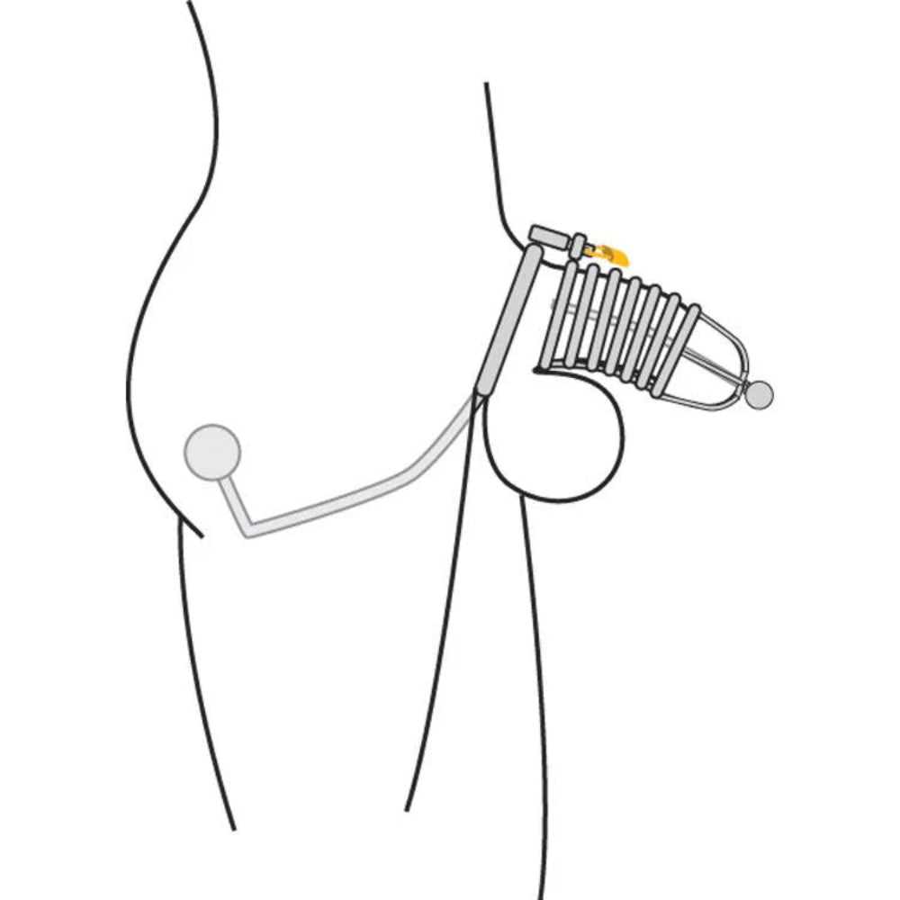 MS Condemned Penetration Cage w/ Anal + Urethral Insertion