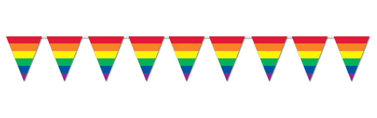 Rainbow Pendant Flag Set