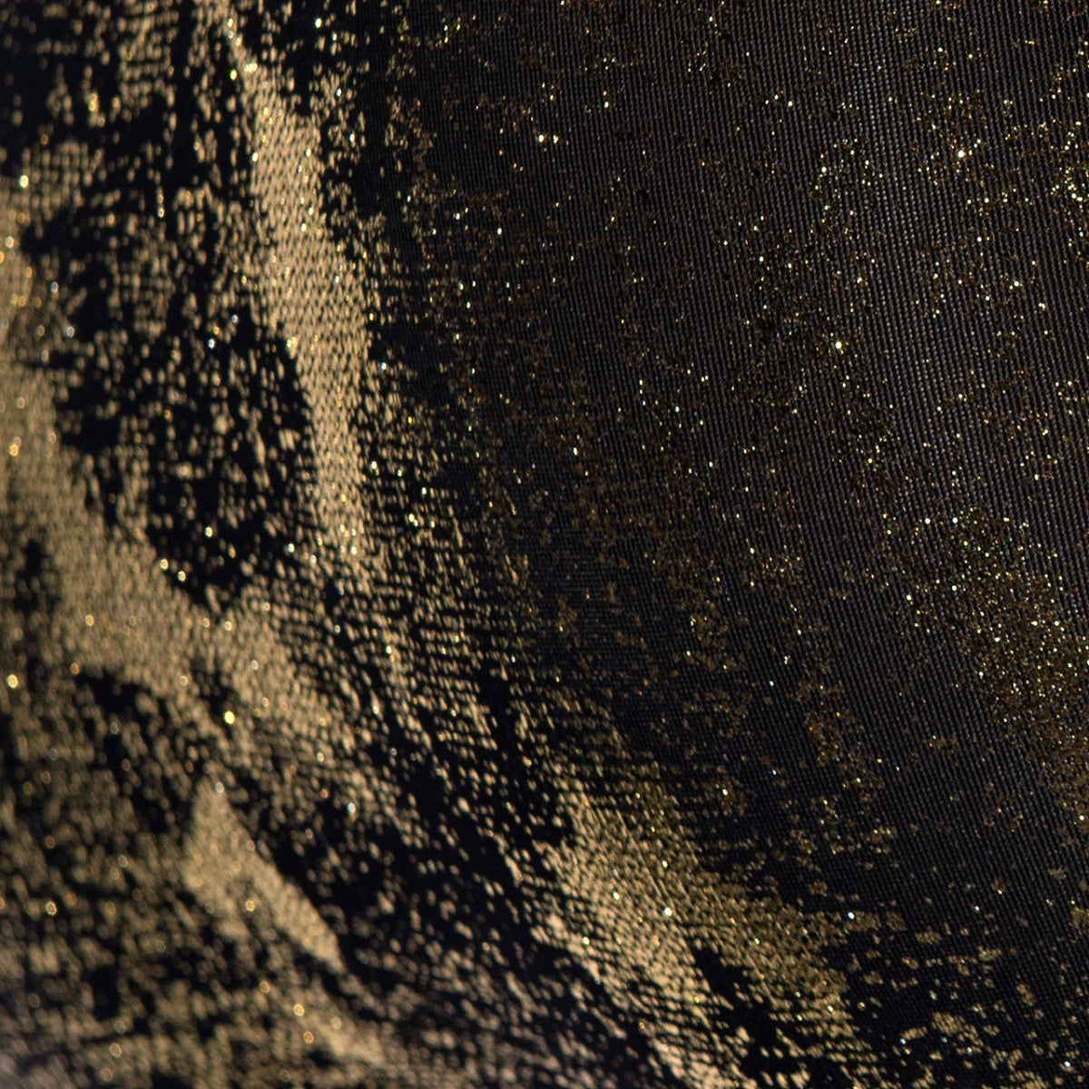 ES Collection Gold + Gold Bikini Brief Black gallery