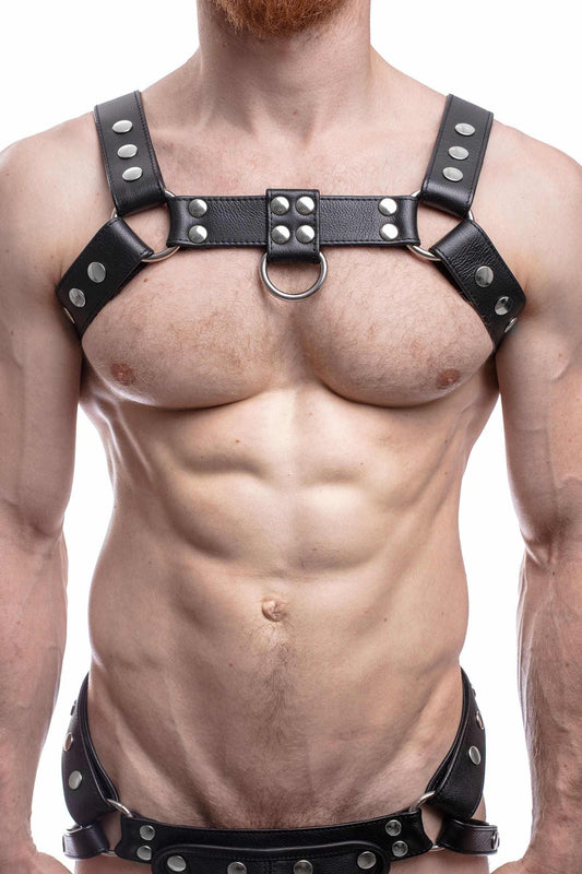 Bulldog Leather Chest Harness Black