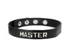 Leather Wordband Collar - Master