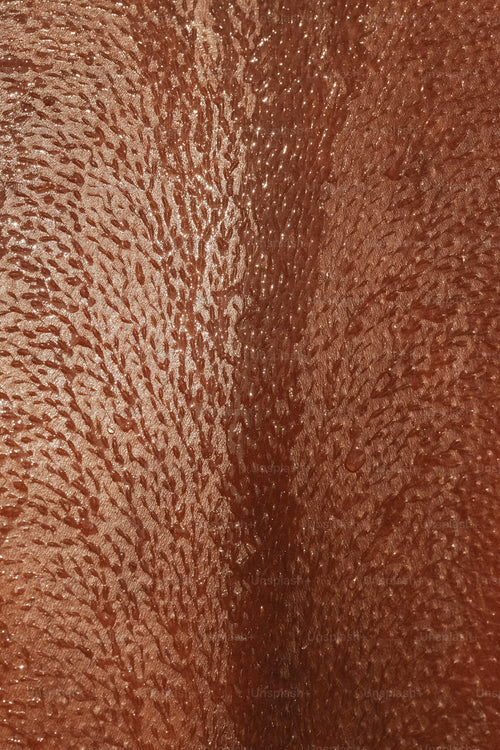 Realistic Texture