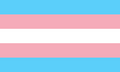 ''Transgender'' Pride Flag 3 x 5 ft