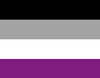 ''Asexual'' Pride Flag 3 x 5 ft