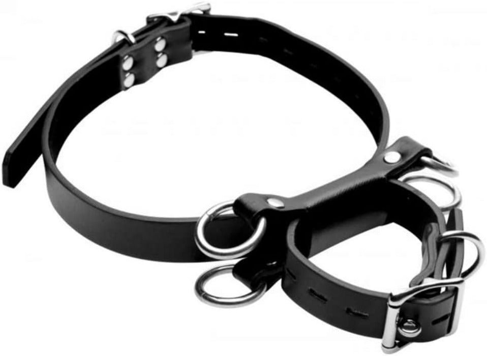 STRICT "Frog Tie" Kneeling Restraint System