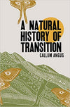 A Natural History of Transition