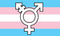 ''Transgender'' Symbol Pride Flag 3x5ft