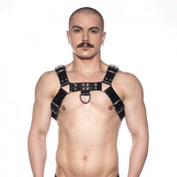 Prowler 'Butch" Harness -Black