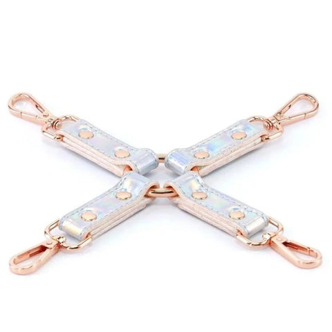 Cosmo ''Holographic'' Hogtie