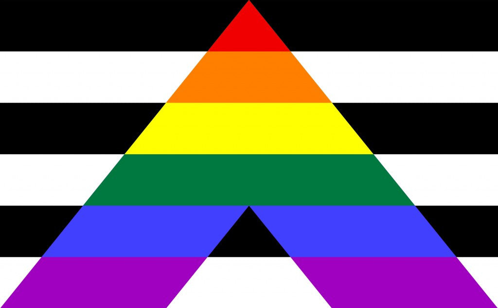 Straight Ally Pride Flag 3 x 5 ft