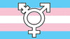 ''Transgender'' Symbol Pride Flag 3x5ft