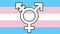 ''Transgender'' Symbol Pride Flag 3x5ft