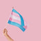 ''Transgender'' Pride Flag 3 x 5 ft