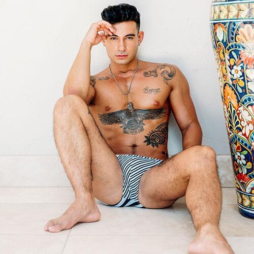 FleshJack Boys "Ricky Roman" -Dildo