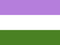 ''Genderqueer'' Pride -Stick Flag 12x18''
