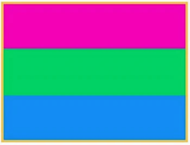 ''Polysexual'' Pride Flag -Lapel Pin