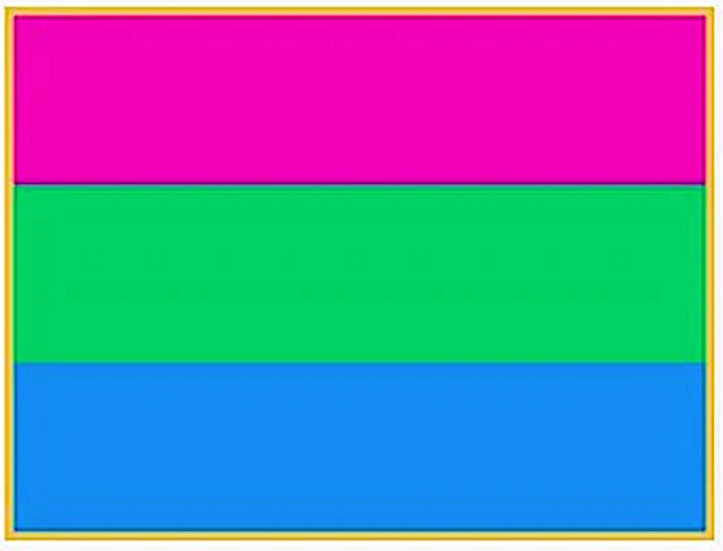 ''Polysexual'' Pride Flag -Lapel Pin