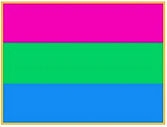 ''Polysexual'' Pride Flag -Lapel Pin